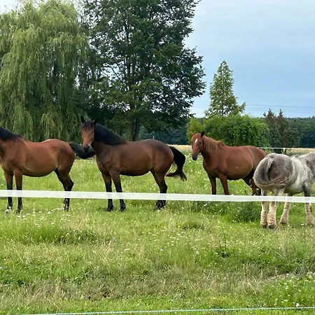 Pensión Konkoly Lovarda és Lenti